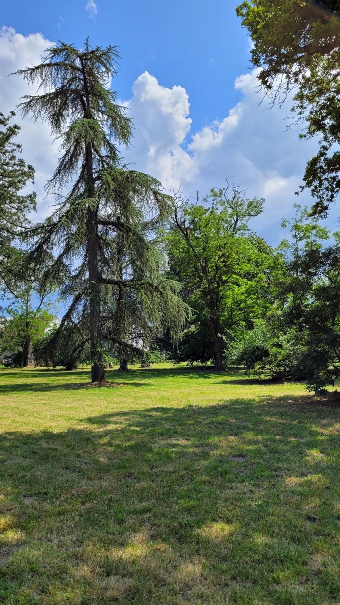 Villa Saint Pierre La Trimouille Bagian luar foto